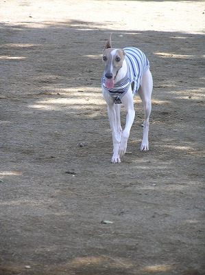 08083106.jpg