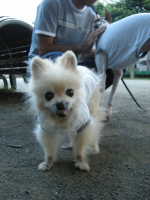 0808katsu.jpg