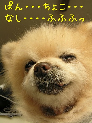 08090402.jpg