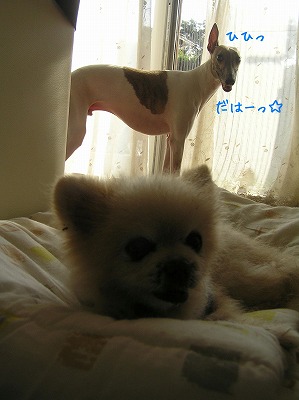 08090404.jpg