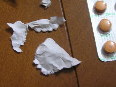 08090406.jpg