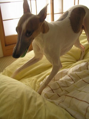 08090504.jpg