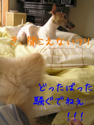 08090506.jpg
