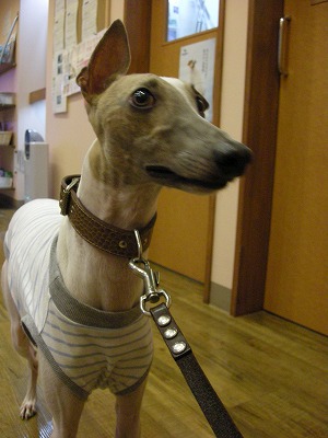 08090602.jpg