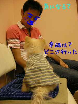 08090603.jpg