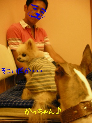 08090604.jpg