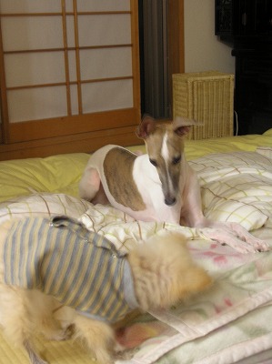08090706.jpg