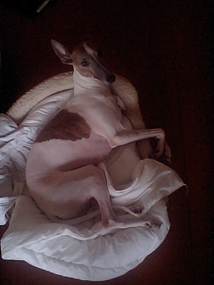 08090902.jpg