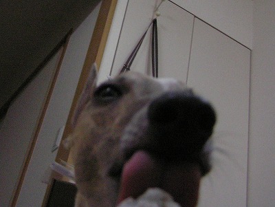08091103.jpg