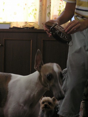 08091411.jpg