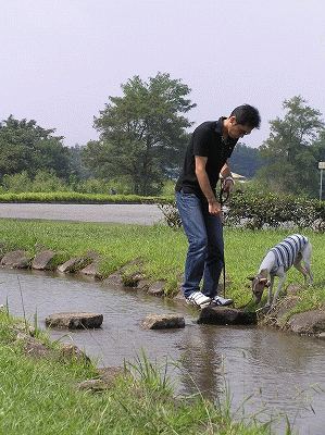 080914y.gif