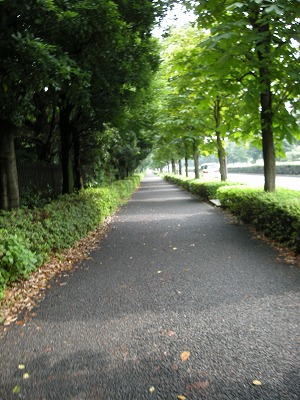 08091503.jpg
