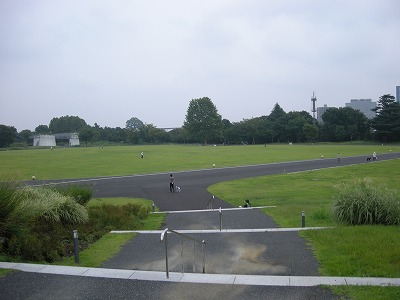 08091504.jpg