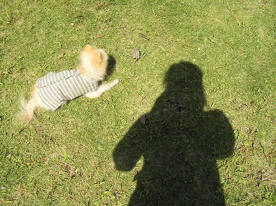 08100303.jpg