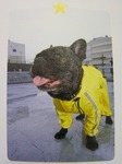 08100405.jpg
