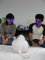 08102610.jpg