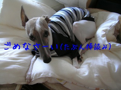 08102804.jpg