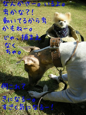 08103002.jpg
