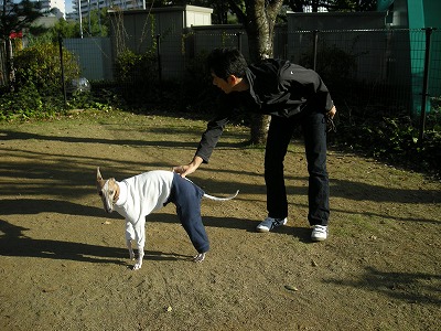 08110202.jpg