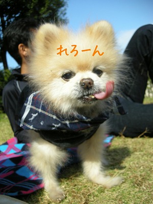 08110401.jpg
