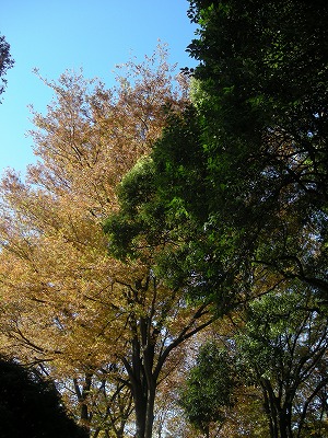 08112202.jpg