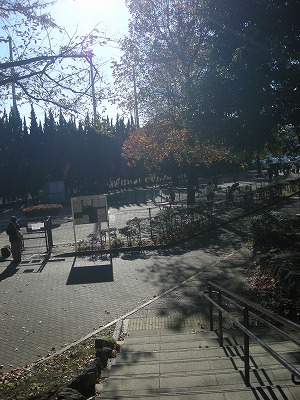 08112204.jpg