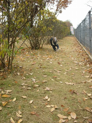 08112301.jpg