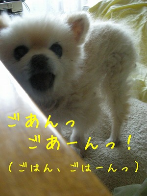 08120101.jpg