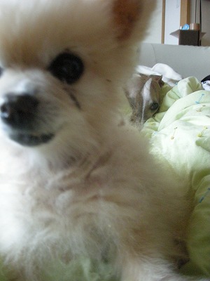08120102.jpg