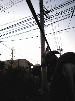08121202.jpg