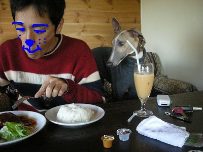 08122706.jpg