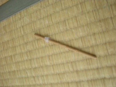 09013003.jpg