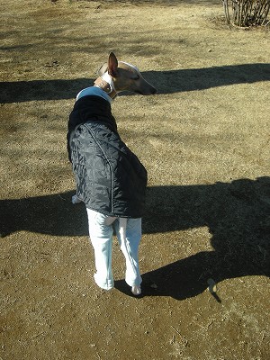 09020101.jpg