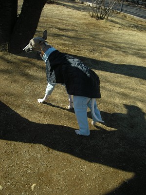 09020102.jpg