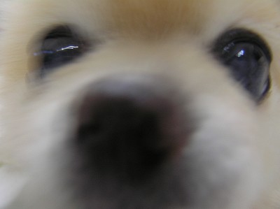 09020103.jpg