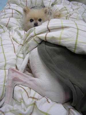 09020104.jpg