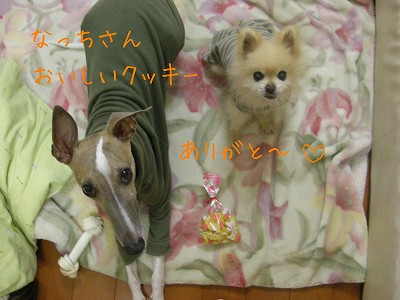 09020502.jpg