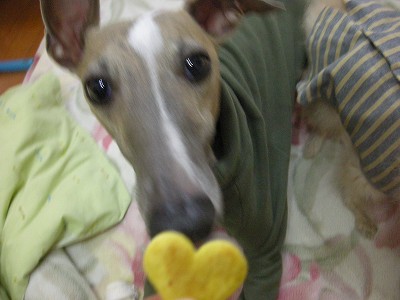 09020503.jpg