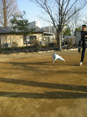 09020710.jpg