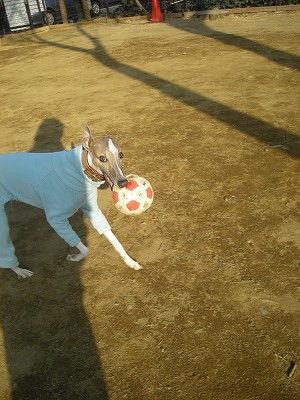09020711.jpg