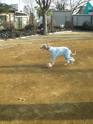 09020712.jpg
