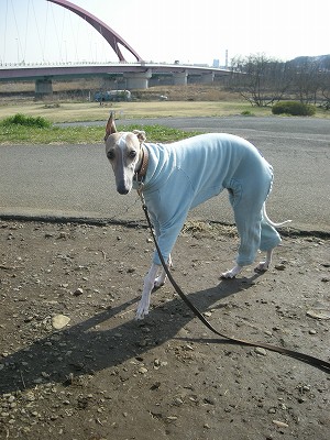09030505.jpg