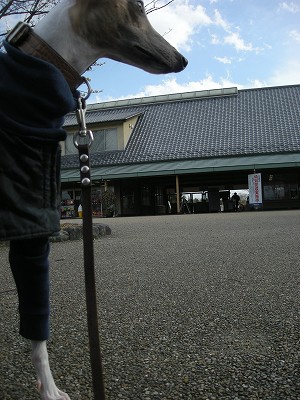 09031101.jpg