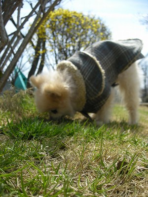 09032902.jpg