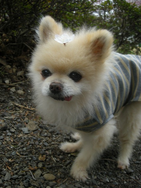 09040402.jpg