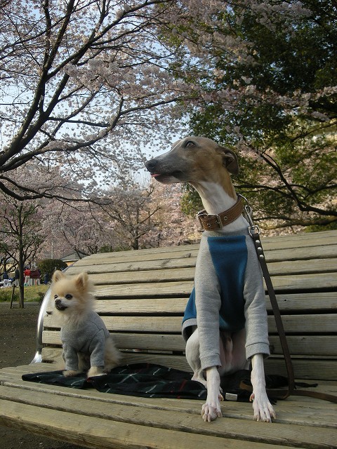 09040501.jpg