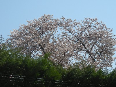09041101.jpg