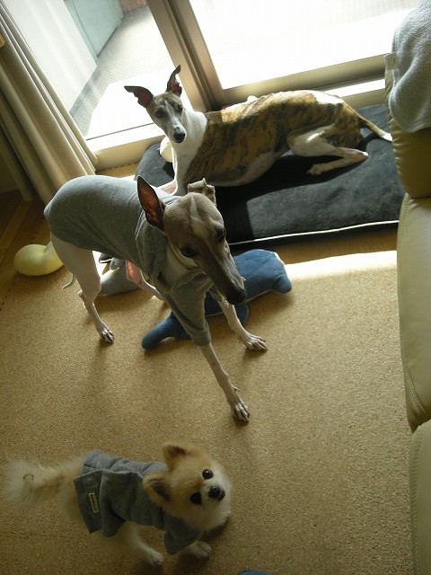 09041201.jpg