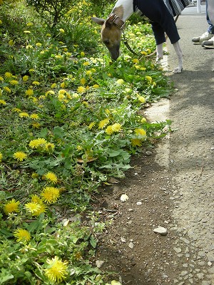 09041801.jpg