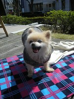 0904k02.jpg